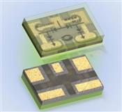 MPS2R10-606 Microchip