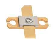 1011GN-250V Microchip