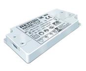 RACV06-24-LP RECOM Power, Inc.