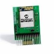 AC164149 Microchip