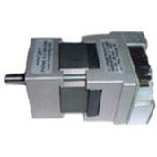 AC300020 Microchip