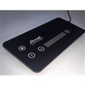 ATSAMC20QTRDEMO Microchip