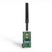 DM164138 Microchip