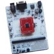 DM300019 Microchip