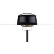 IS.02.B.305111 Taoglas