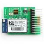 RN-131-PICTAIL Microchip