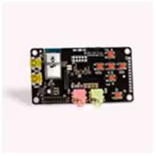 RN-52-EK Microchip