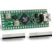 TCHIP011 Microchip